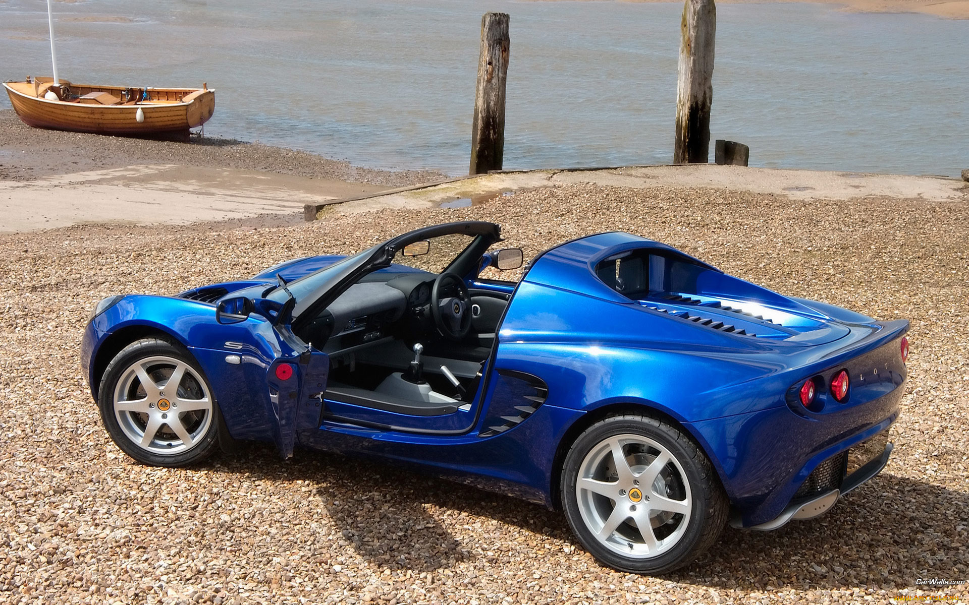 , lotus
